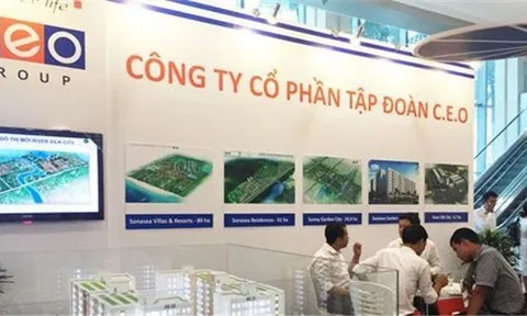 CEO lỗ nặng 224 tỷ đồng 9 tháng, dòng tiền âm gần 170 tỷ