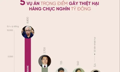 Infographics: Những vụ án nâng khống thiết bị y tế gây thiệt hại hàng chục tỷ đồng