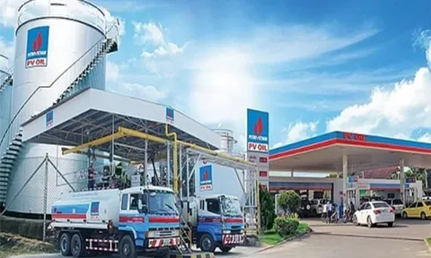 Ông lớn ngành dầu giảm lợi nhuận, âm dòng tiền