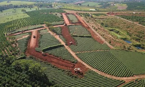 Ai tiếp tay cho việc phân lô, lập dự án 'ma' ở thành phố Bảo Lộc?