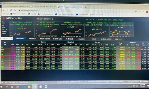Thị trường chứng khoán lập mốc đỉnh mới, VN-Index tăng 13,5 điểm