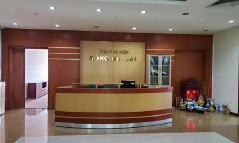 Công ty cổ phần Sông Đà 1.01 bị phạt 100 triệu đồng