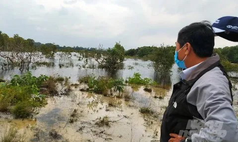 Bài 3. Chậm khắc phục sai phạm