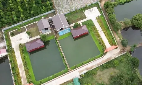 Nhà vườn xây trái phép, rao bán hàng tỷ đồng bị xử phạt, yêu cầu phục hồi nguyên trạng