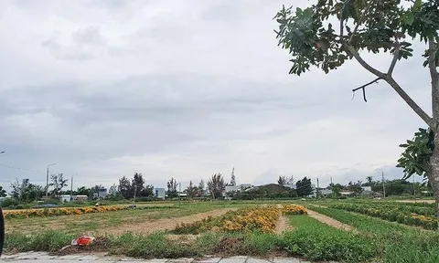 'Hiệu ứng domino' vây nhiều dự án ở Quảng Nam - Bài 3: 'Bãi rác' dự án khó dọn