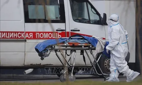 COVID-19 tới 6h sáng 7/11: Thế giới vượt 250 triệu ca mắc; Nga dẫn đầu về ca tử vong mới