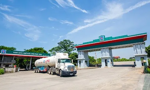 Hệ sinh thái 'khủng' của Công ty TNHH Hải Linh có gì?