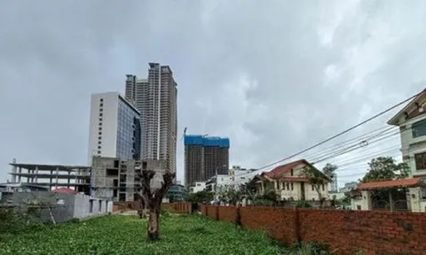 Ẩn khuất vụ chuyển nhượng 5 lô đất biển liên quan đến Vũ 'Nhôm'