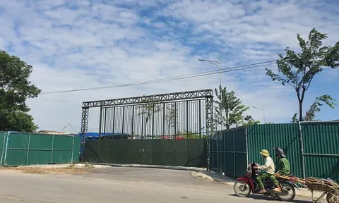 Cận cảnh khu đất bị Chủ tịch Vimedimex tổ chức dìm giá