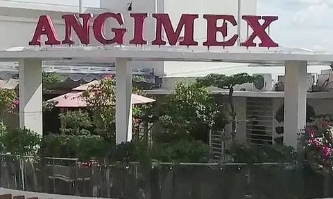 Nợ tăng nhanh, AGM vẫn vay thêm 500 tỷ đồng trái phiếu lãi suất 7%