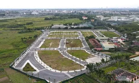 Hà Nội hủy kết quả trúng đấu giá ô đất khiến nữ tướng Vimedimex bị bắt