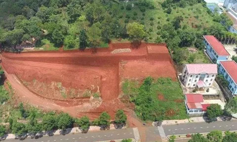 San ủi trái phép cả quả đồi giữa trung tâm thành phố Gia Nghĩa