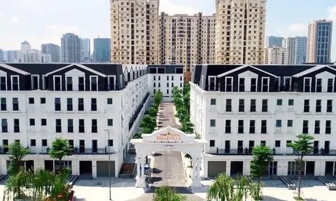 Điểm mặt dự án Vimefulland tai tiếng của 'nữ tướng' Nguyễn Thị Loan