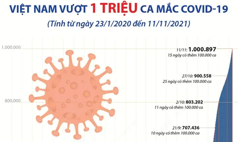 Việt Nam vượt 1 triệu ca mắc COVID-19
