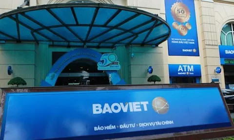 Tập đoàn Bảo Việt: 'Trái đắng' từ bất động sản, bị HĐND TP. Hà Nội 'nhắc tên' vì sai phạm đất đai