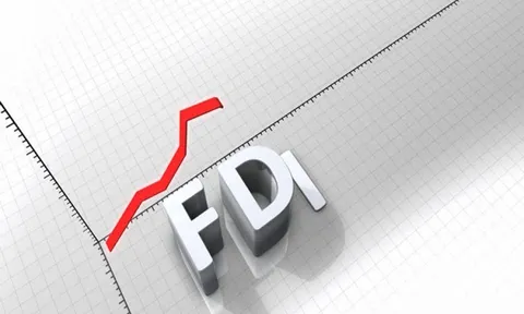 Đa số doanh nghiệp FDI đang niêm yết đều có lãi