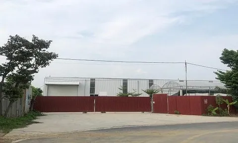 Vì sao hàng loạt khu đất công ở Hải Dương bị mua bán trái phép thời gian dài?