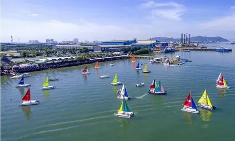 Hàng loạt sai phạm tại Bến thuyền Vũng Tàu Marina