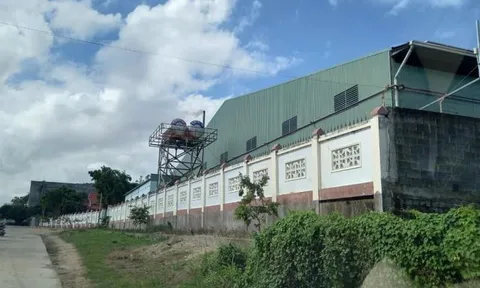 Ai đứng sau Điều Đại Hưng Phát 'ăn' phạt 250 triệu vì xả thải sai phép?