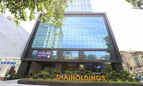Thaiholdings: Kinh doanh thua lỗ, bị xử phạt, thoái vốn khỏi Tôn Đản Hà Nội