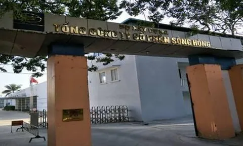 Tổng Công ty cổ phần Sông Hồng và Công ty cổ phần Xây dựng Thiết bị Công nghiệp CIE1 bị phạt