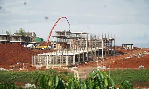 'Rừng' bê tông mọc lên từ con đường 'phục vụ sản xuất nông nghiệp' ở Lâm Đồng