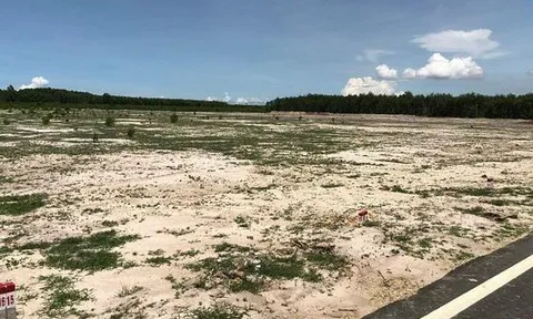 UBND tỉnh Bà Rịa - Vũng Tàu xử phạt công ty Phú Mỹ vì rao bán 'dự án ma'