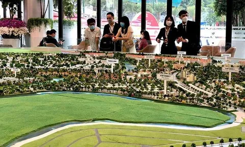 Rủi ro lớn khi trao tiền cho công ty '3 không'