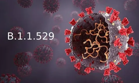 Italy, Hà Lan, Anh ghi nhận những ca đầu tiên nhiễm biến thể Omicron