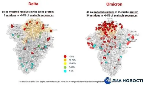 Hình ảnh đầu tiên chỉ ra sự khác biệt giữa hai biến thế Omicron và Delta