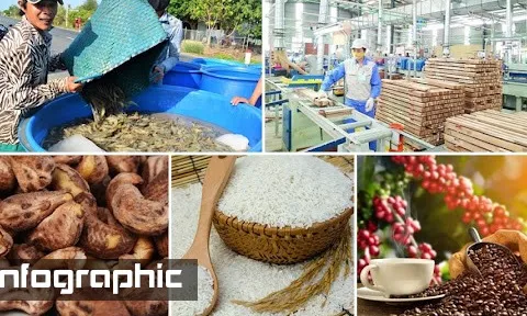 Bức tranh kinh tế - xã hội của Việt Nam trong 11 tháng năm 2021