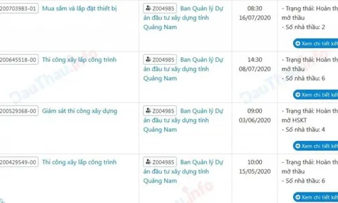 Đấu thầu qua mạng Quảng Nam: Lạ lùng nhà thầu 'độc diễn', giảm giá nhỏ giọt