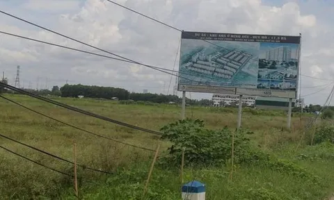 Thu hồi 4 khu đô thị 'ôm' đất bỏ hàng chục năm ở Mê Linh của DN nào?