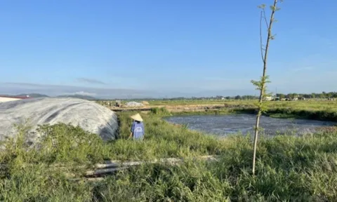 Hà Tĩnh: Doanh nghiệp bị phạt hơn 1 tỷ đồng vì làm ô nhiễm môi trường