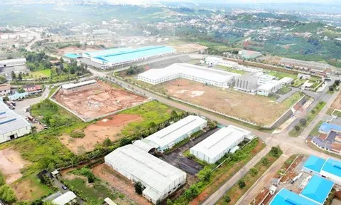 Nhiều sai phạm tại 2 khu công nghiệp ở Lâm Đồng