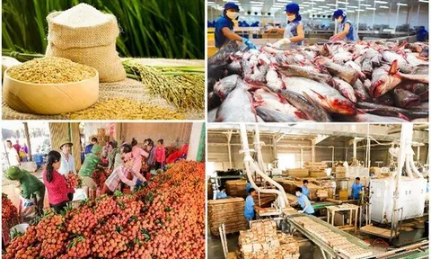 Xuất khẩu lập kỷ lục bất chấp đại dịch Covid-19
