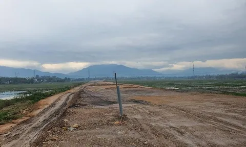 Nhiều sai phạm tại dự án 1.000 tỷ đồng tại Đà Nẵng