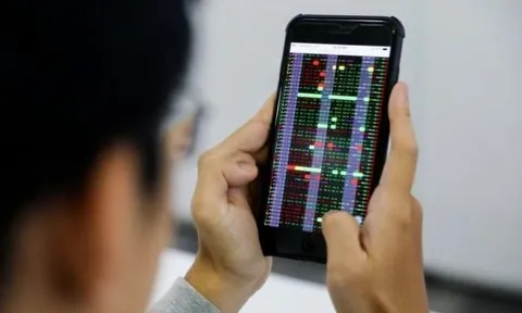 Hơn 221.300 tài khoản chứng khoán mở mới trong tháng 11, cao nhất lịch sử