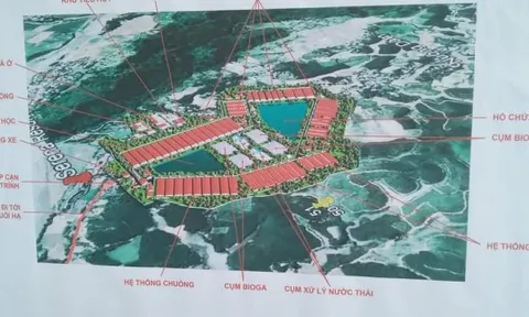 Chưa được giao đất và chuyển đổi mục đích sử dụng, Tập đoàn Dabaco đã bạt cả quả đồi để làm trang trại lợn