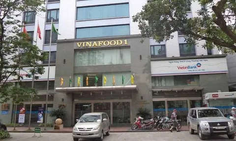 7 công ty con Tổng công ty Lương thực miền Bắc thua lỗ