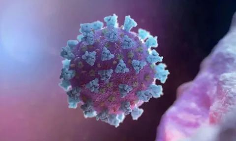 Phát hiện mới về hiện tượng ca bệnh nặng và tử vong thấp ở Nhật Bản