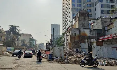 Hà Nội sắp có tuyến phố trồng toàn cây Lộc vừng đầu tiên