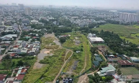 Cỏ dại um tùm dự án trọng điểm của TP.HCM, mỗi tháng phát sinh lãi 10 tỷ đồng