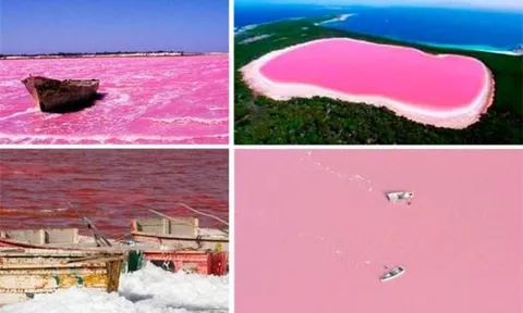 Những địa điểm kì lạ trên thế giới, ai cũng muốn ghé thăm một lần trong đời