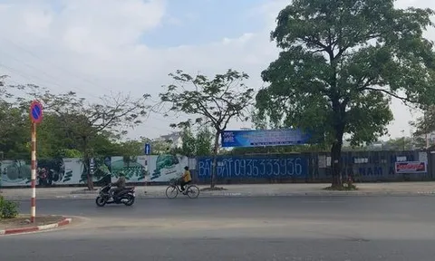 Hải Phòng: Thu hồi dự án 'đất vàng' được ưu đãi bỏ hoang 13 năm