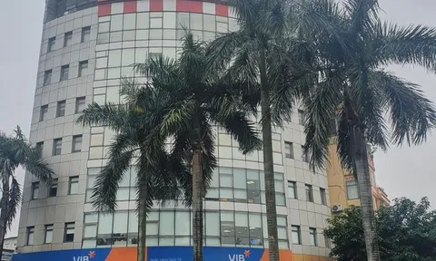 Ôm dự án nhà ở XH nghìn tỷ, năng lực thực sự của Viglacera thế nào?