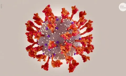 Nghiên cứu quốc tế: Omicron tự nhân bản nhanh hơn Delta 70 lần trong đường hô hấp