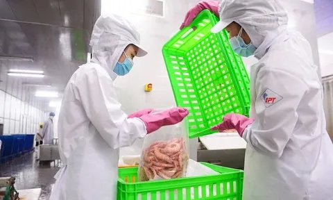 Người lao động là F0 được hỗ trợ những gì?