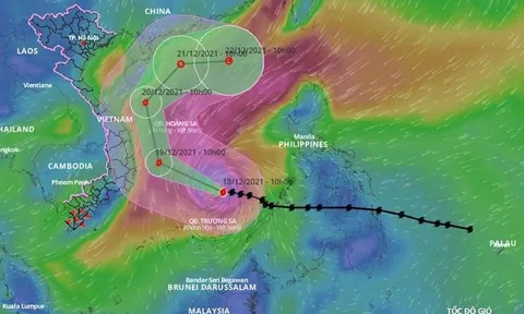 Vì sao bão số 9 có hướng đi kỳ dị, chạy dọc bờ biển rồi ngoặt ra ngoài