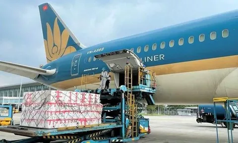 Vận tải hàng hóa qua đường hàng không năm 2021 tăng hơn 21%